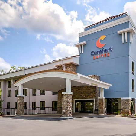 Comfort Suites At Kennesaw State University מראה חיצוני תמונה